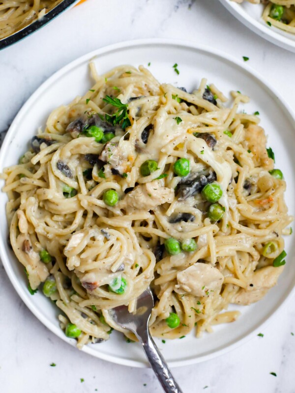 A plate of chicken tetrazzini with a fork inside.