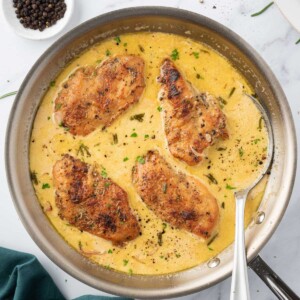A pan of creamy mustard chicken with a spoon.