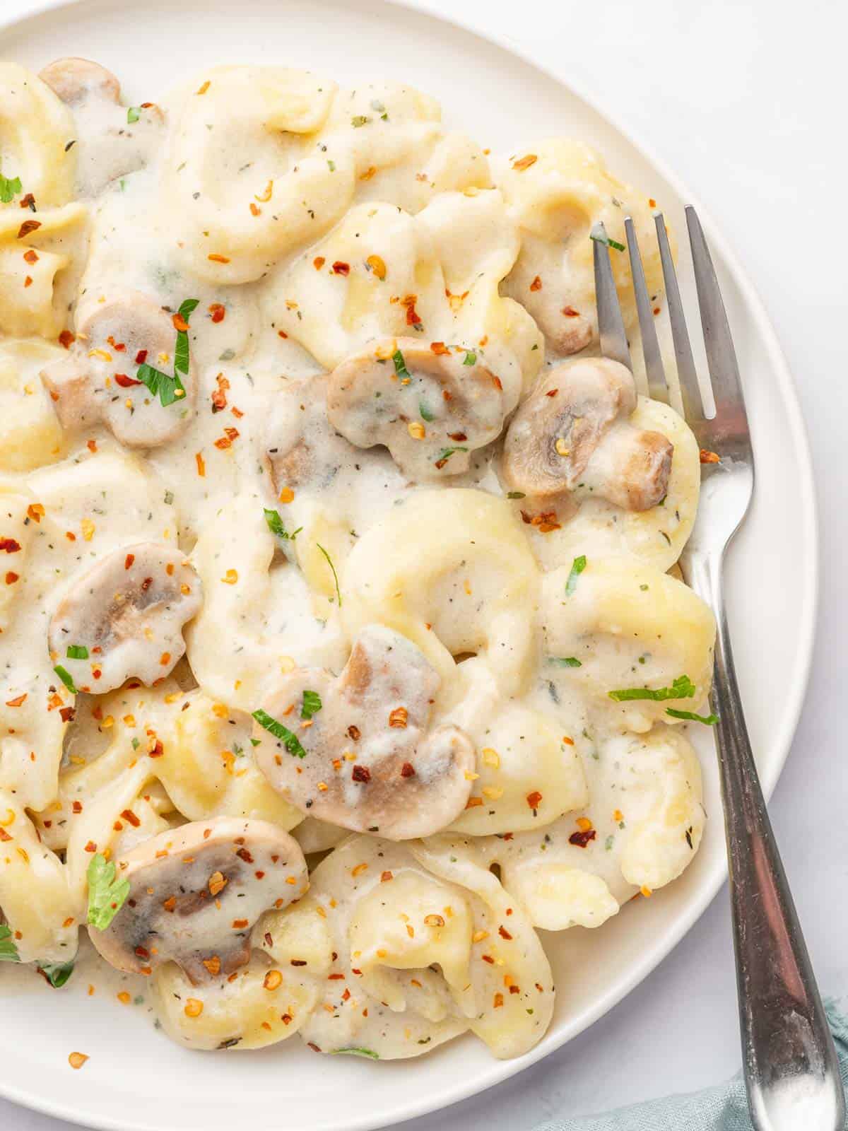 A plate of cheese tortellini and mushrooms topped with alfredo sauce. A fork rests on the side.