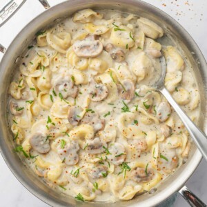 Alfredo tortellini in a skillet.